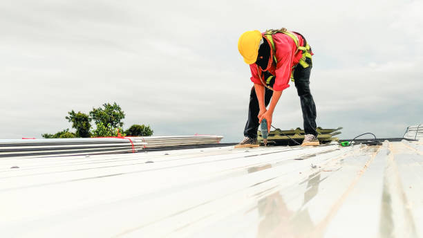 Best Roof Coating and Sealing  in Barrett, TX